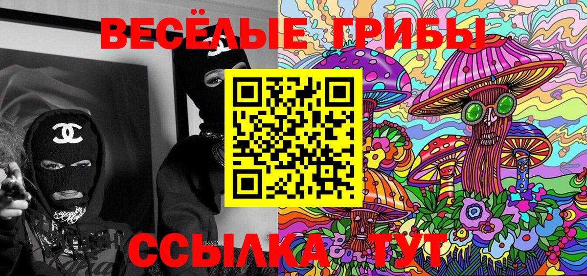Сочи  Галлюциногенные грибы мицелий  Вход с VPN  Галлюциногенные грибы Cubensis 